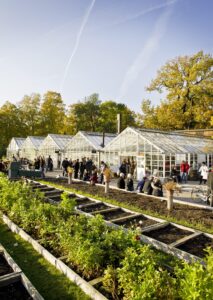 Stockholm blir centrum för framtidens mat under unik hållbarhetssatsning